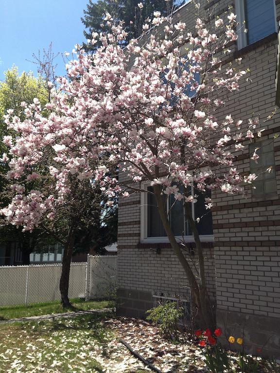 Magnolia B&B Granby Bagian luar foto