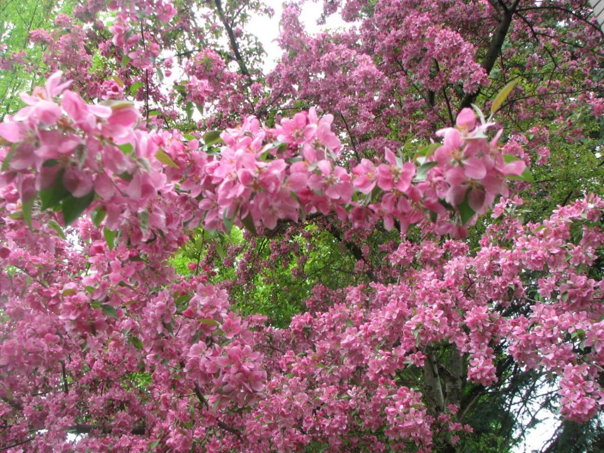 Magnolia B&B Granby Bagian luar foto